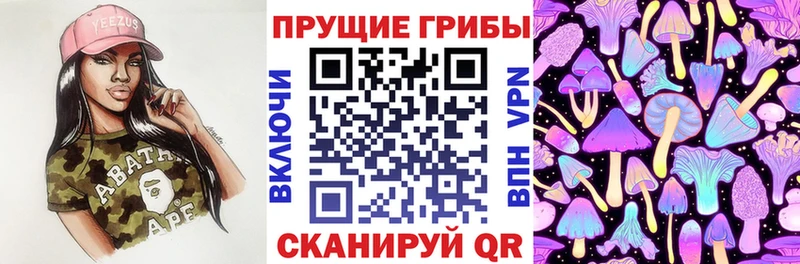 Псилоцибиновые грибы Cubensis  Нелидово 
